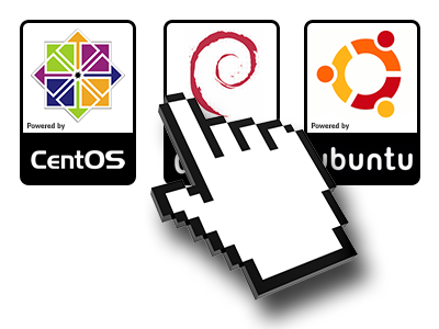 A Selection of Operating Systems