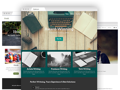 An assortment of easy–to–re–design website themes